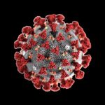 Covid virus