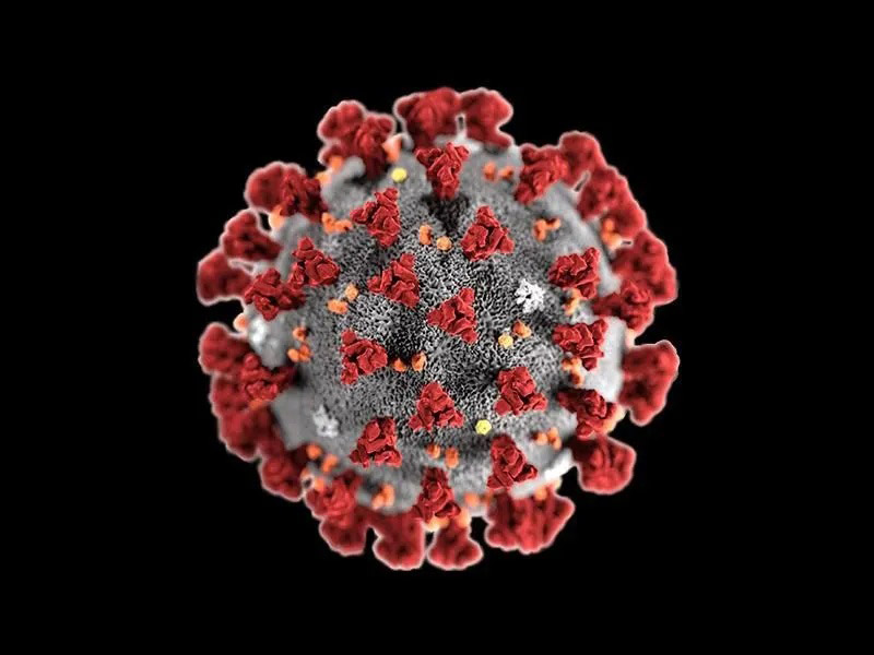 Covid virus